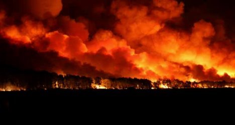 photo by WMBF NBC News